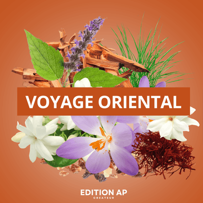 VOYAGE ORIENTAL - EDITION AP