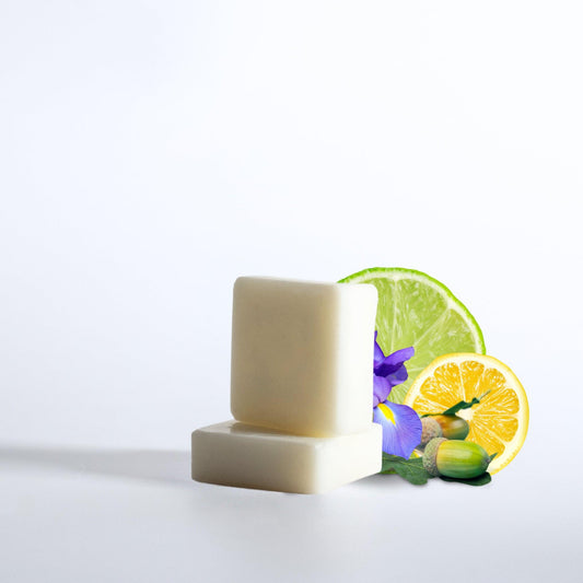 fondant-parfum-tartellettes-cirefondue-bruleparfum-fondantparfume-fondantcitron-citronvert-masculin-bois